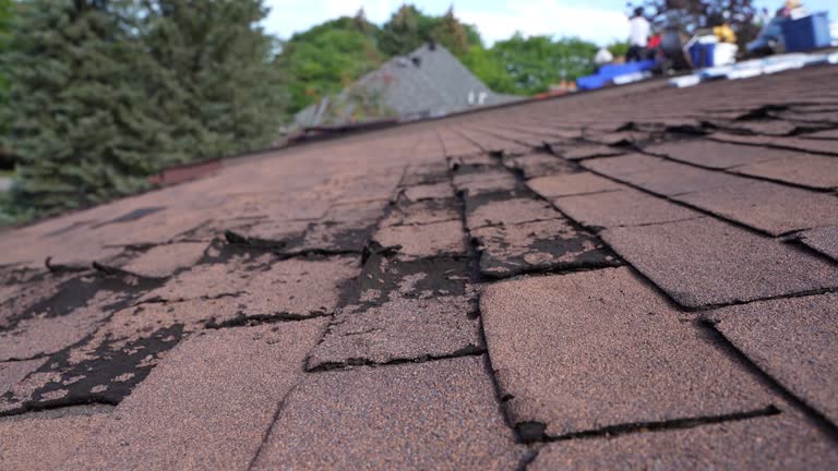 Best Steel Roofing  in Winchester, CA