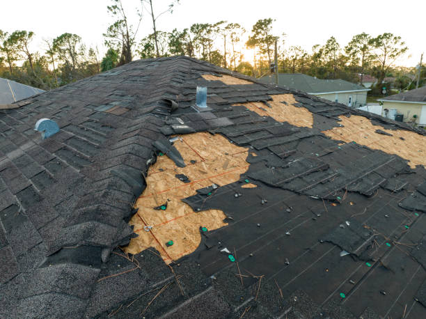 Best Roof Insulation Installation  in Winchester, CA